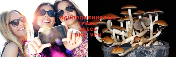 шишки Алексин