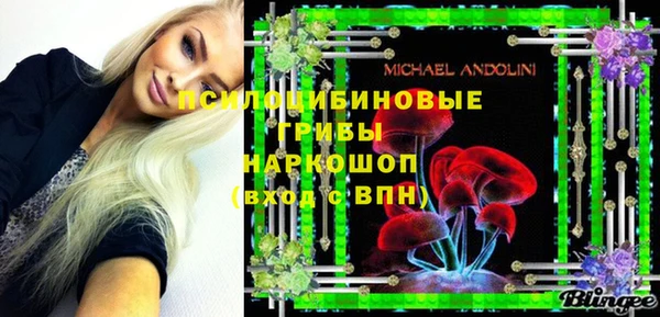 шишки Алексин