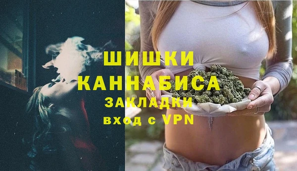 шишки Алексин