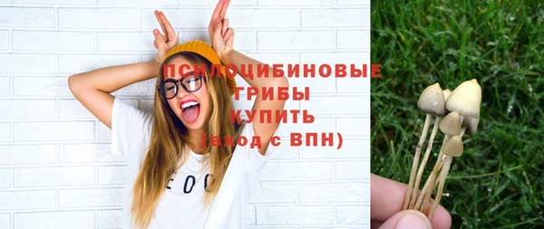 мескалин Ростов