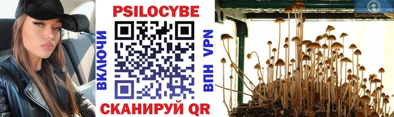 Галлюциногенные грибы GOLDEN TEACHER  Ликино-Дулёво 